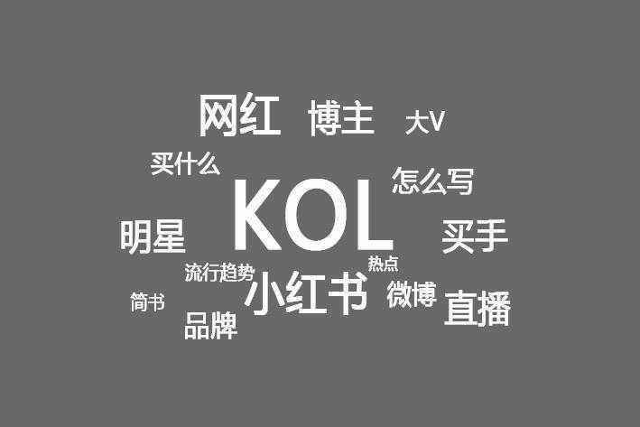 用户运营中的kol运营是什么意思